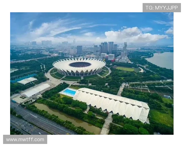 佛山市体育场馆数量及分布情况全面解析